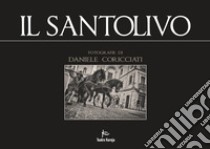 Il Santolivo. Requiem per un albero. Ediz. italiana e inglese libro di Coricciati Daniele