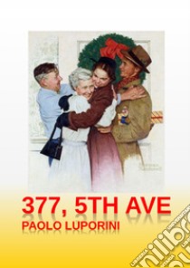 377, 5th ave libro di Luporini Paolo