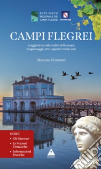 Campi Flegrei. Viaggio lento alle radici della storia tra paesaggi, arte, sapori e tradizioni libro di D'Antonio Massimo