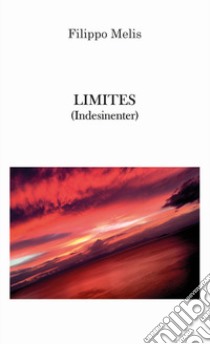 Limites (Indesinenter) libro di Melis Filippo