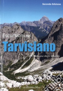 Escursionismo nel tarvisiano... dal taccuino degli appunti libro di Paolini Fabio