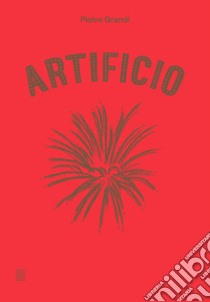 Artificio. Ediz. a colori libro di Grandi Pietro