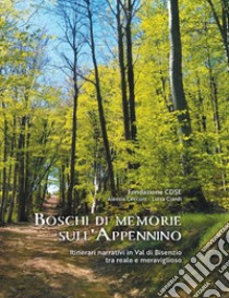 Boschi di memorie sull'Appennino. Itinerari narrativi in Val di Bisenzio tra reale e meraviglioso libro di Cecconi Alessia; Ciardi Luisa