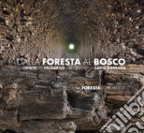 Dalla foresta al bosco. La lignite del Valdarno e la centrale di Santa Barbara. Parte prima: la foresta sommersa. Ediz. illustrata libro di Mauri Michele; Mura Giovanni; Donadoni Mario