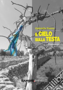 Il cielo sulla testa libro di Petino Gabriella