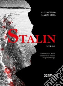 Stalin. Acciaio. Il romanzo su Stalin narrato da un ucraino rifugiato a Parigi libro di Mazzochel Alessandro; Zussa D. (cur.)