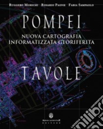 Pompei. Nuova cartografia informatizzata georiferita. Con DVD-ROM libro di Morichi Ruggero; Paone Rosario