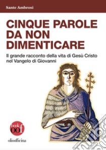 Cinque parole da non dimenticare. Il grande racconto della vita di Gesù Cristo nel Vangelo di Giovanni libro di Ambrosi Sante