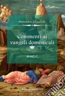 Commenti ai vangeli domenicali. Anno C libro di De Luccia Francesco