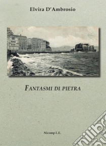 Fantasmi di pietra libro di D'Ambrosio Elvira