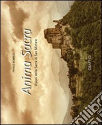 Anima sacra. Visioni della sacra di San Michele. Ediz. multilingue. Con DVD libro di Borrelli Franco