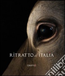 Ritratto di Italia. Ediz. illustrata. Con DVD libro di Borrelli Franco