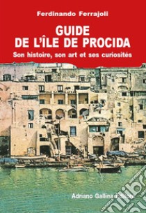 Guide de Procida. Historie, art et curiosités libro di Ferrajoli Ferdinando; Gallina G. (cur.)