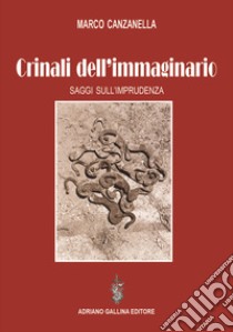 Crinali dell'immaginario. Saggi sull'imprudenza libro di Canzanella Marco