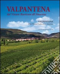 Valpantena. Dal Vinum Raeticum all'Amarone. Venti secoli di stria della coltura della vigna e dell'arte di fare vino-Valpantena. From Vinum Raeticum to Amarone. Twenty Years of History of Viniculture and of Wine-Making Art libro di Avesani B. (cur.)