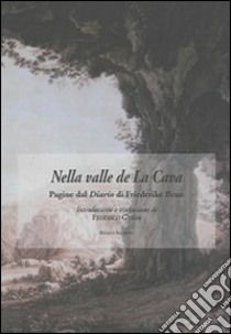 Nella valle de La Cava. Pagine dal diario di Friederike Brun libro di Guida F. (cur.)