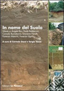 In nome del suolo. Tributo a Angelo Aru, Paolo Baldaccini, Corrado Buondonno, Giovanni Fierotti, Fiorenzo Mancini, Fiorenzo Ugolini libro di Dazzi C. (cur.); Vacca S. (cur.)