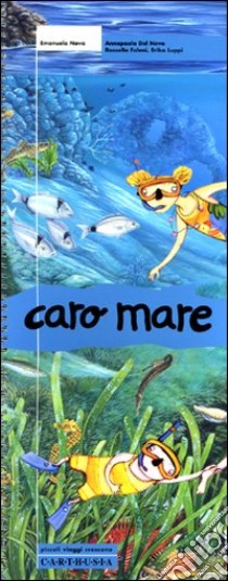 Caro mare. Ediz. illustrata libro di Nava Emanuela