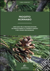 Storie di piedi buoni libro di Di Stefano Domenico