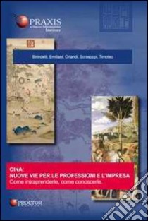 Cina: nuove vie per le professioni e l'impresa libro