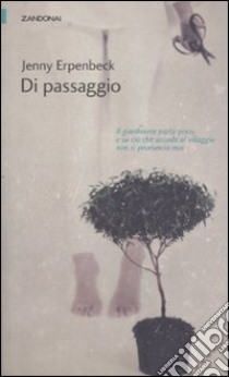 Di passaggio libro di Erpenbeck Jenny