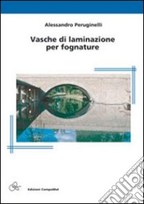 Vasche di laminazione per fognature libro di Peruginelli Alessandro