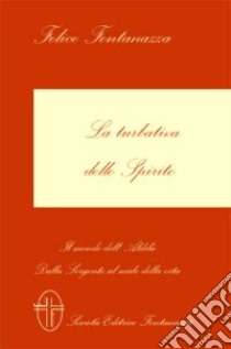 La turbativa dello spirito. Il mondo dell'aldilà. Dalla sorgente al mare della vita libro di Fontanazza Felice