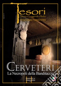 Cerveteri: la necropoli della Banditaccia. Ediz. italiana e inglese. Con DVD libro di Orsingher G. Piero; Enei Flavio
