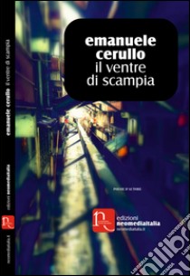 Il ventre di Scampia libro