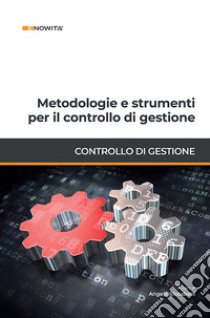 Metodologie e strumenti per il controllo di gestione libro di Riccaboni A. (cur.)