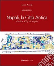 Napoli, la città antica-Ancient city of Naples. Ediz. bilingue libro di Picone Luigi