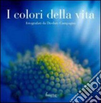 I colori della vita. Ediz. illustrata libro di Campagna Diodato; Acco P. (cur.)