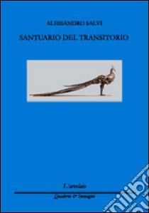 Santuario del transitorio libro di Salvi Alessandro