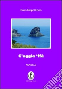 C'aggia «ffa» libro di Napolitano Vincenzo