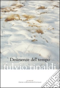 Desinenze del tempo libro di Rinaldi Fulvio; Carluccio Attimonelli G. (cur.)