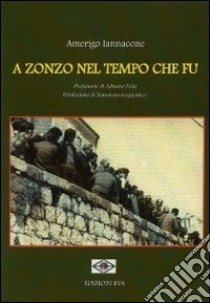 A zonzo nel tempo che fu libro di Iannacone Amerigo