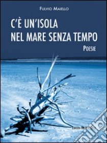 C'è un'isola nel mare senza tempo libro di Maiello Fulvio