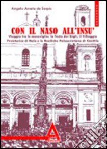 Con il naso all'insù. Viaggio tra le meraviglie: xa festa dei Gigli, il villaggio preistorico di Nola... libro di Amato de Serpis Angelo