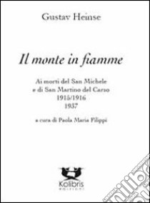 Il monte in fiamme libro di Heinse Gustav