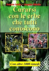 Curarsi con le erbe che tutti conoscono libro di Sanfo Valerio