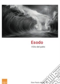 Esodo. Il Dio del patto libro di Aranzulla Gian Paolo; Artioli A. (cur.)