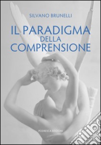 Il paradigma della comprensione libro di Brunelli Silvano