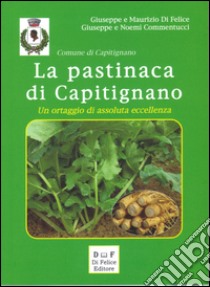 La pastinaca di Capitignano. Un prodotto di assoluta eccellenza libro di Di Felice Giuseppe; Di Felice Maurizio; Commentucci Giuseppe