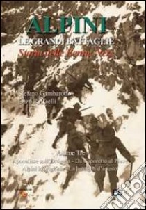 Alpini. Le grandi battaglie. Storia delle Penne nere. Vol. 3: Apocalisse sull'Ortigara, da Caporetto al Piave, alpini in prigionia, la battaglia d'arresto libro di Gambarotto Stefano; Raffaelli Enzo