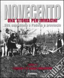 Novecento padovano. Una storia per immagini. Ediz. illustrata. Vol. 4: I campi e il sogno industriale libro di Grossi T. (cur.)