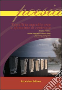 Tasselli in macchia arsa e sfumature di contrasto libro di Fabris Piero