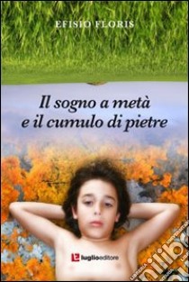 Il sogno a metà e il cumulo di pietre libro di Floris Efisio