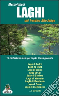 Meravigliosi laghi del Trentino Alto Adige libro