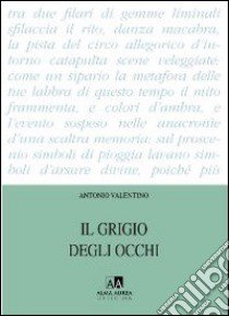 Il grigio degli occhi libro di Valentino Antonio