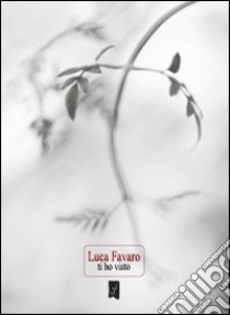 Ti ho visto libro di Favaro Luca